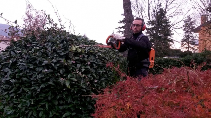 Potatura Siepi Prato