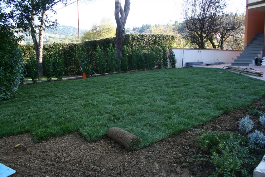 Realizzazione giardino con Prato a rotoli